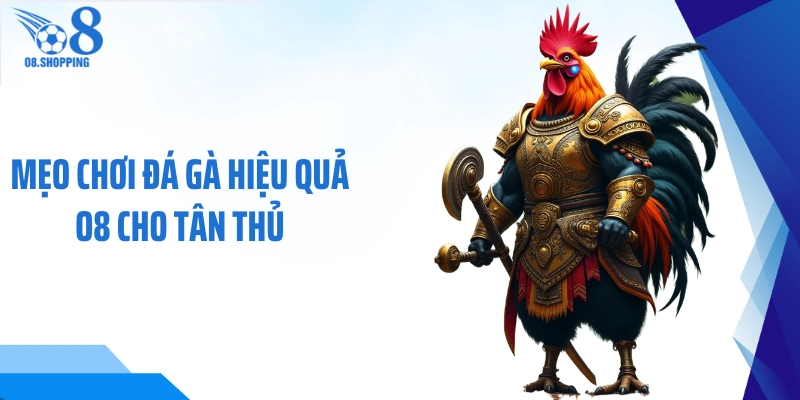 Mẹo chơi đá gà hiệu quả O8 cho tân thủ